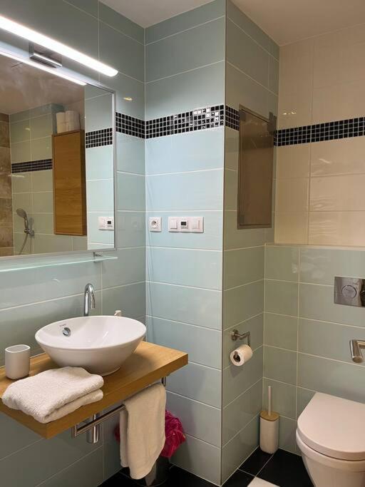 Apartment In Historical Center With Park View Plzen Ngoại thất bức ảnh