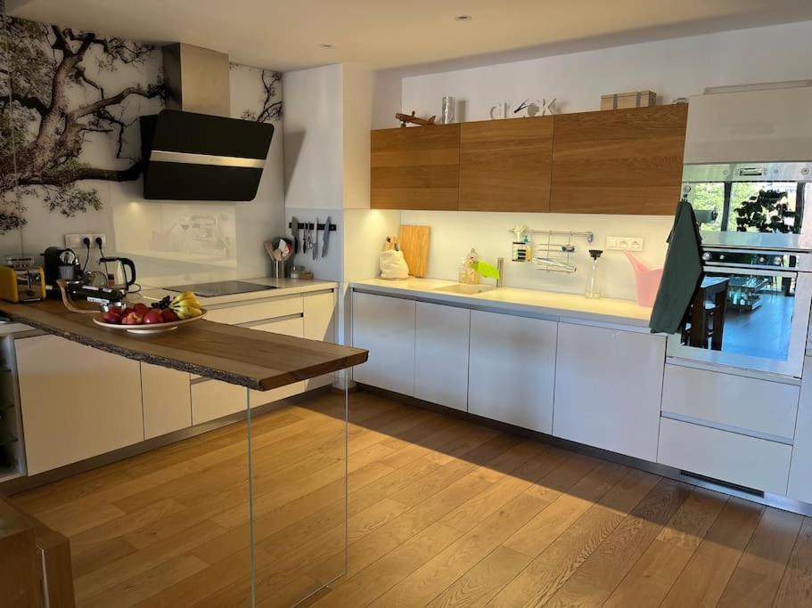 Apartment In Historical Center With Park View Plzen Ngoại thất bức ảnh