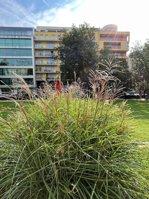 Apartment In Historical Center With Park View Plzen Ngoại thất bức ảnh