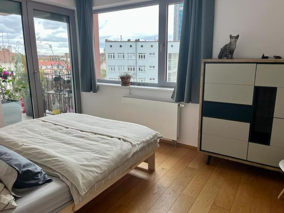 Apartment In Historical Center With Park View Plzen Ngoại thất bức ảnh