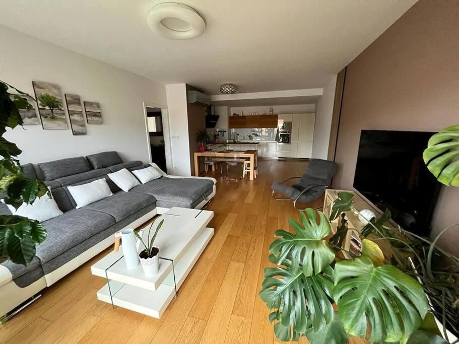 Apartment In Historical Center With Park View Plzen Ngoại thất bức ảnh