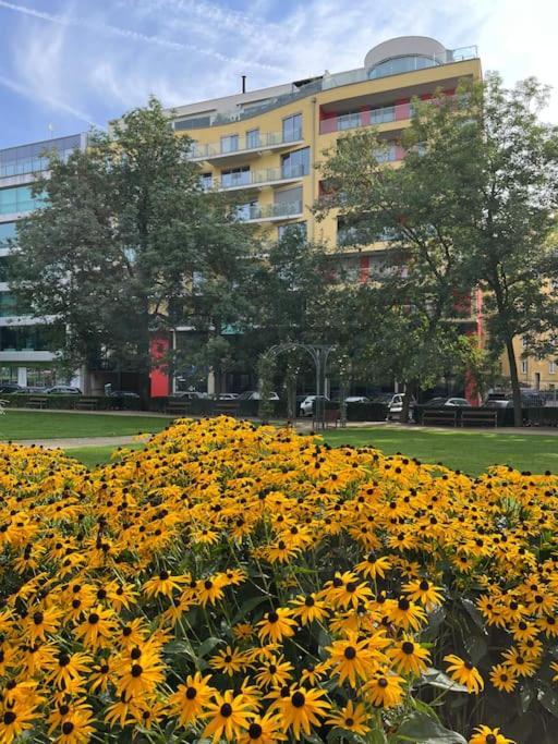 Apartment In Historical Center With Park View Plzen Ngoại thất bức ảnh